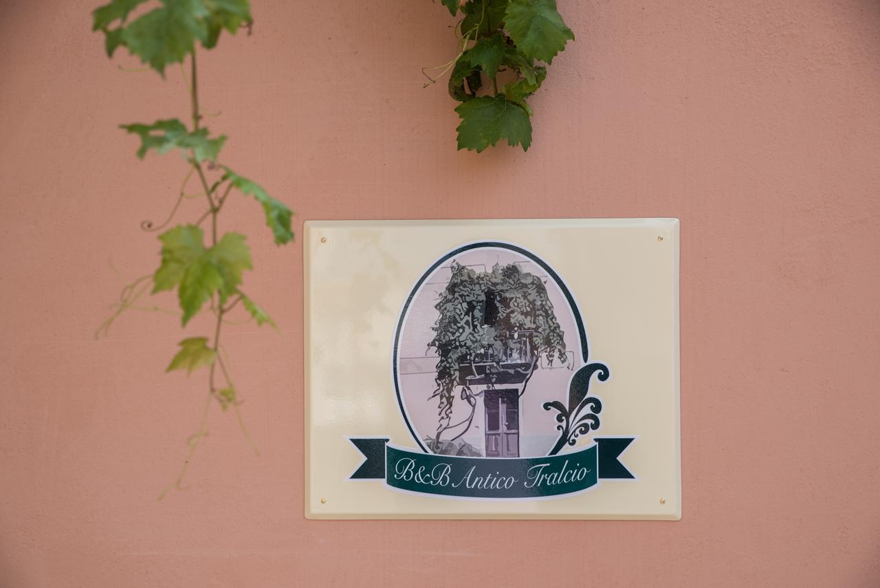 B&B Antico Tralcio Antignano  Luaran gambar
