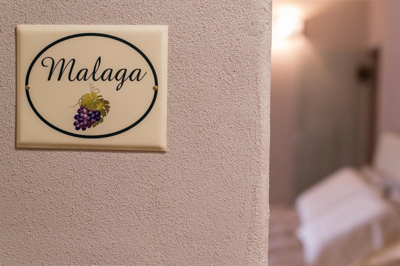 B&B Antico Tralcio Antignano  Luaran gambar